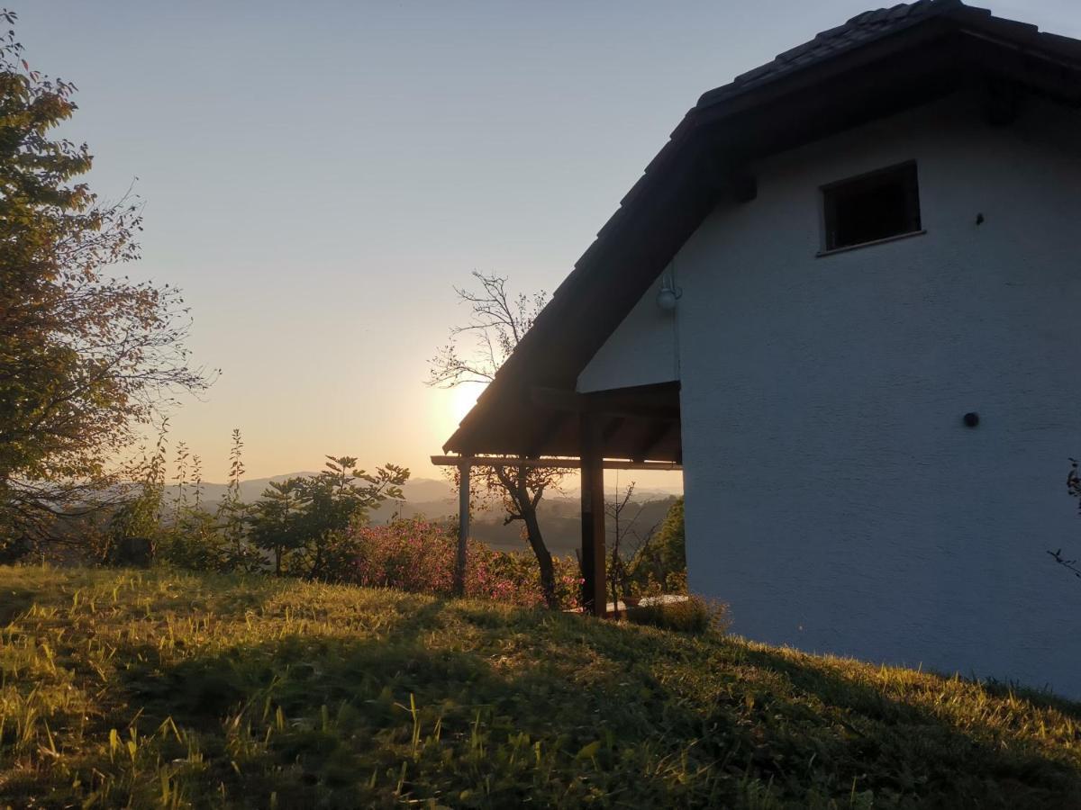 Apartma Pusa Pesnica pri Mariboru Екстер'єр фото