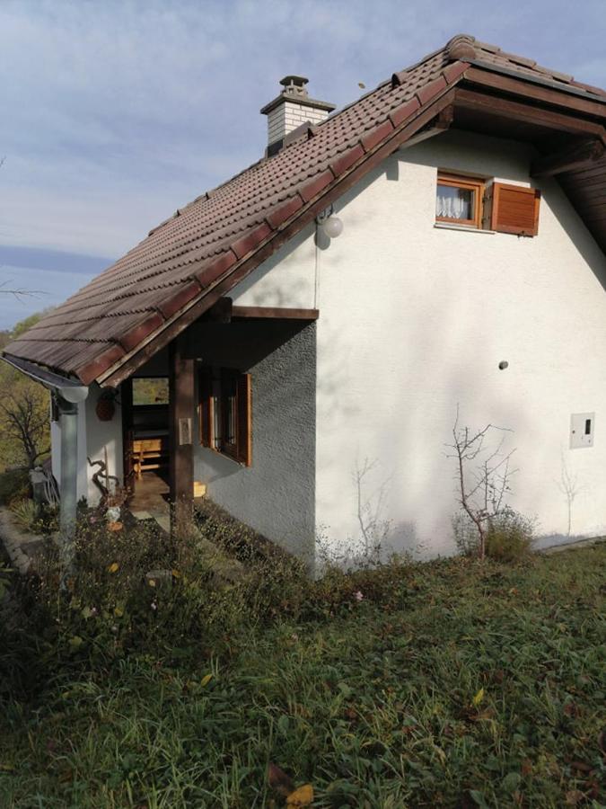 Apartma Pusa Pesnica pri Mariboru Екстер'єр фото