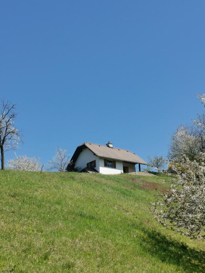 Apartma Pusa Pesnica pri Mariboru Екстер'єр фото